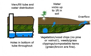 Illustration of a wicking bed from the front and the side.