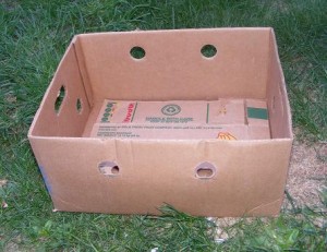 Banana box for gardening: fill with soil and plant!  Easy, expandable, and fun!